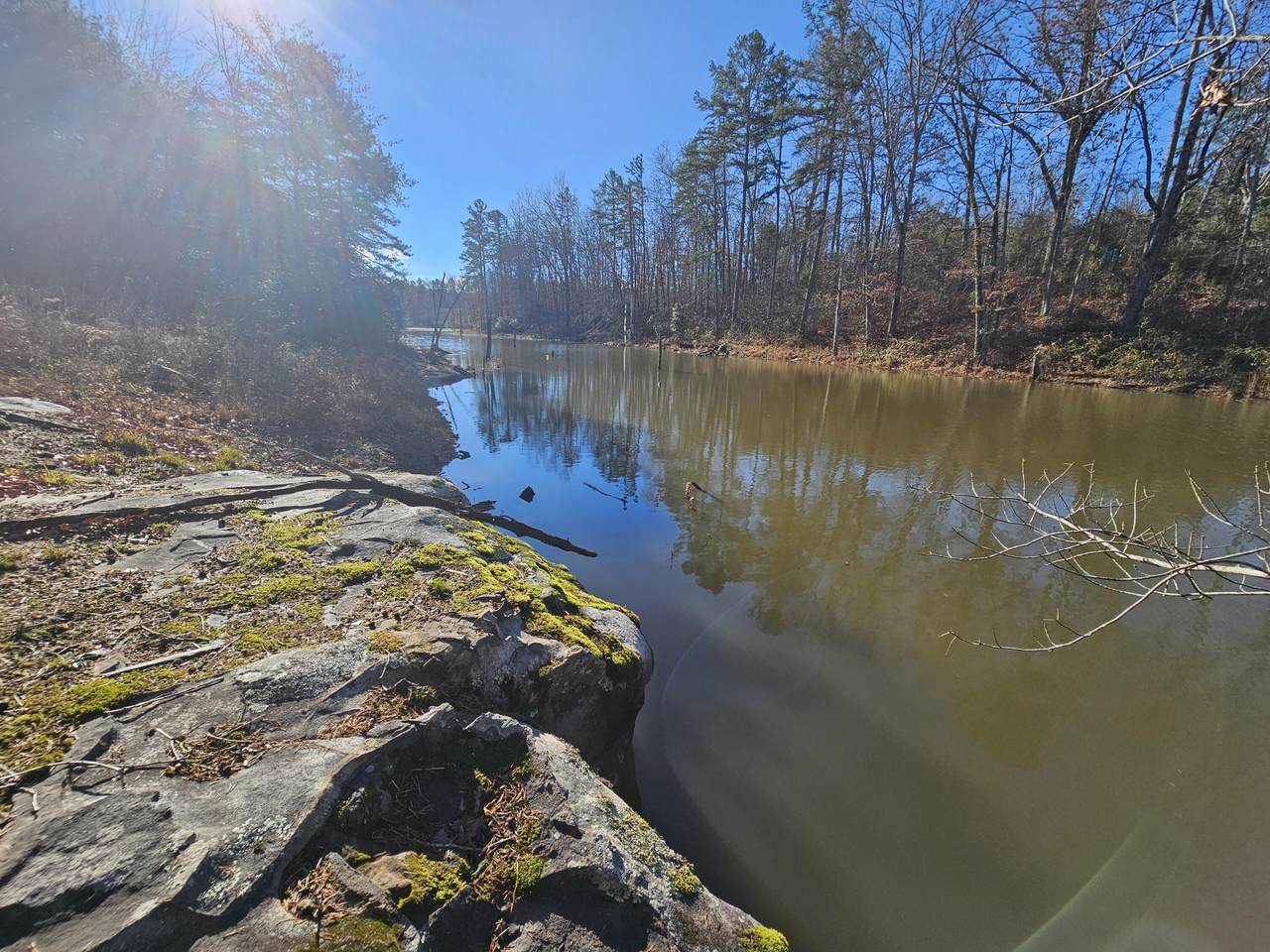 242 Ranger Creek Road - Photo 1