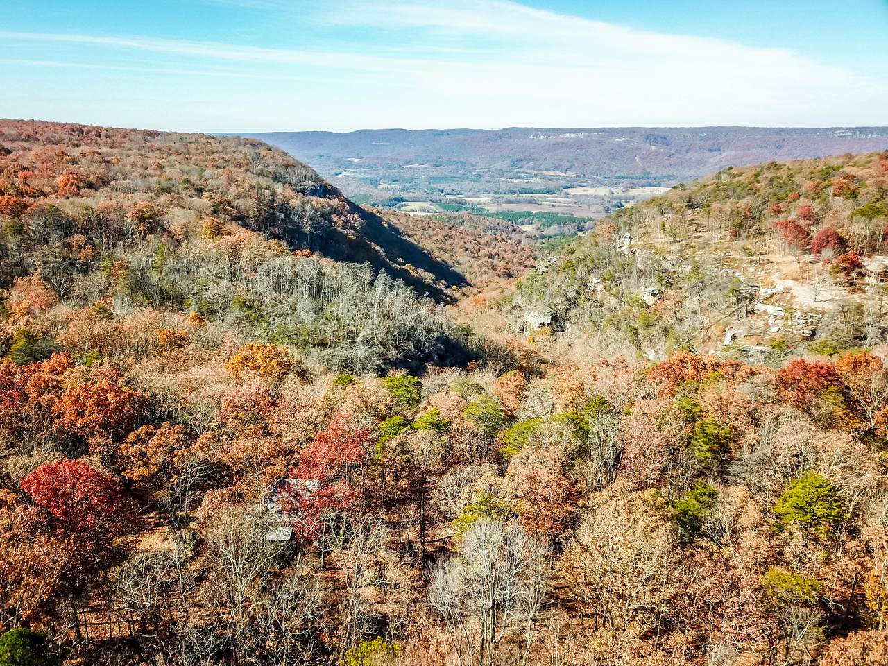 1401 Dale Trail - Photo 1