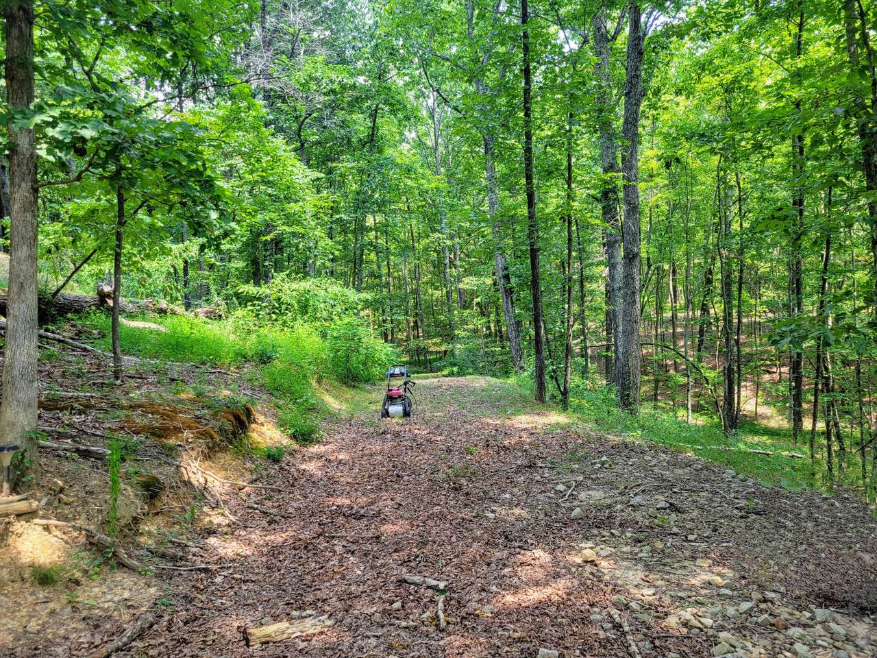 235 Awanita Drive - Photo 1