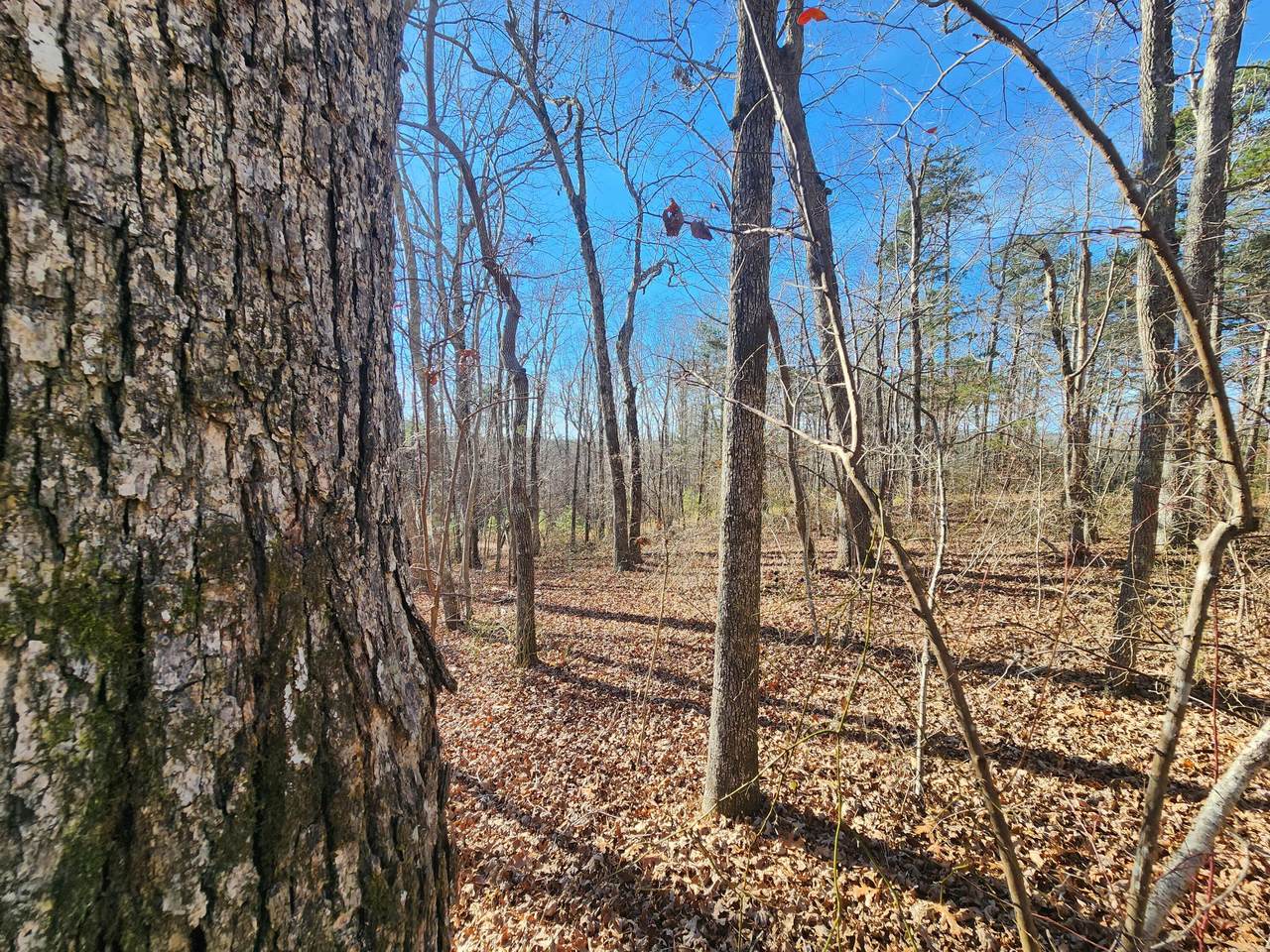 Lot 35 Road 9050 - Photo 1