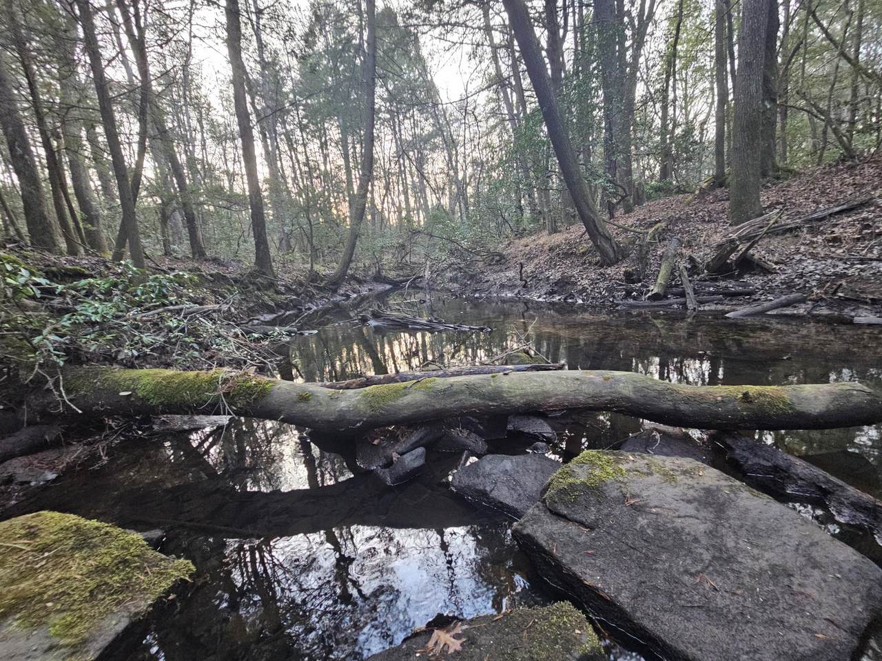 100 Clendenon Road - Photo 1