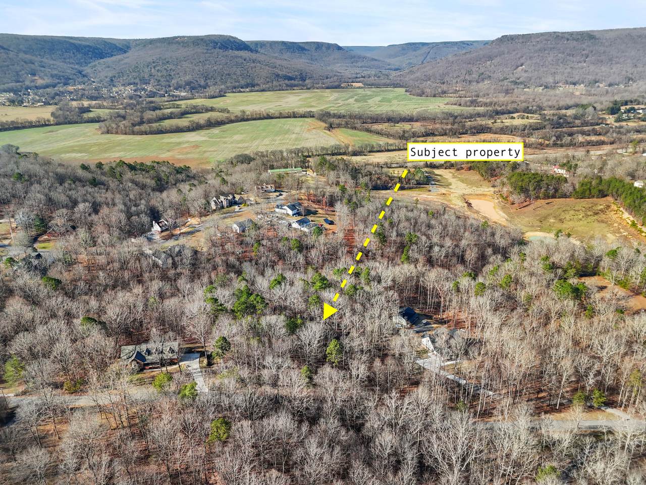 1014 Tanya Drive - Photo 1