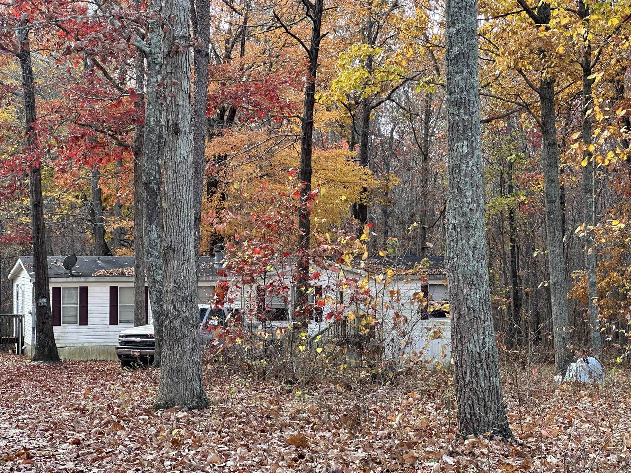 966 Cox Road - Photo 1