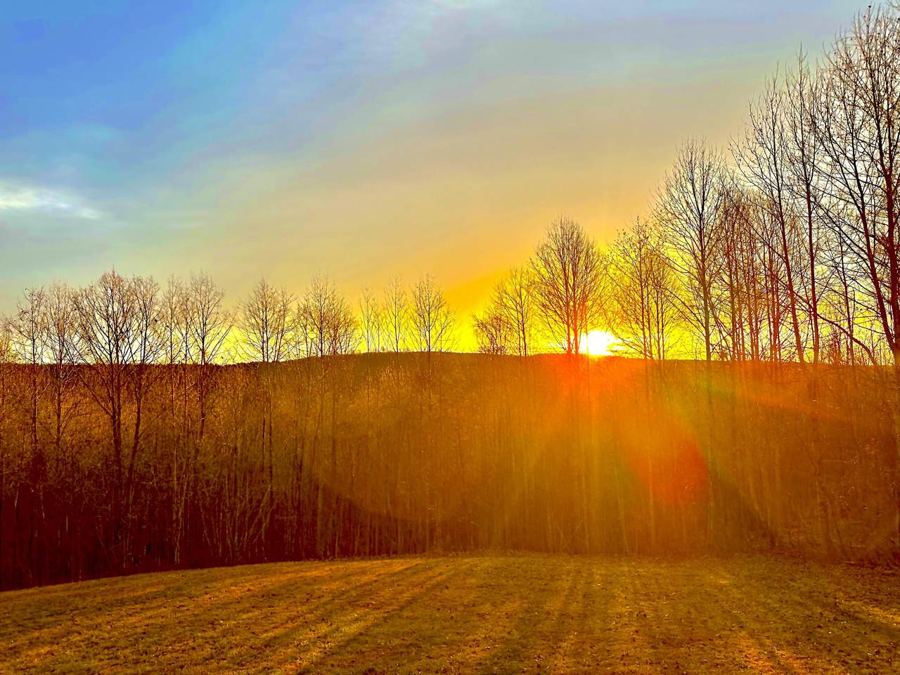 967 Walden Drive - Photo 1