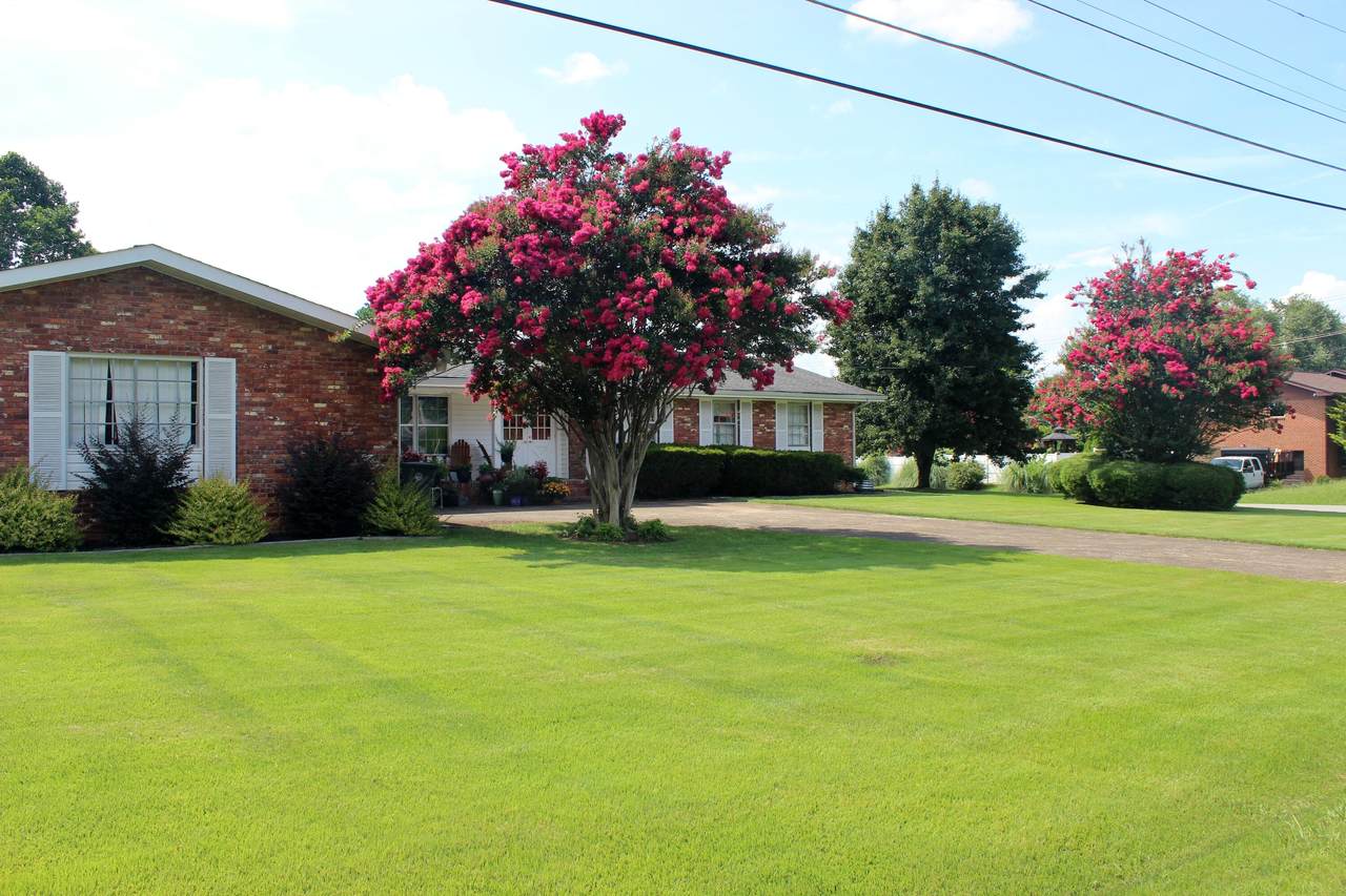 https://bt-photos.global.ssl.fastly.net/chattanooga/1280_boomver_2_1527143-2.jpg