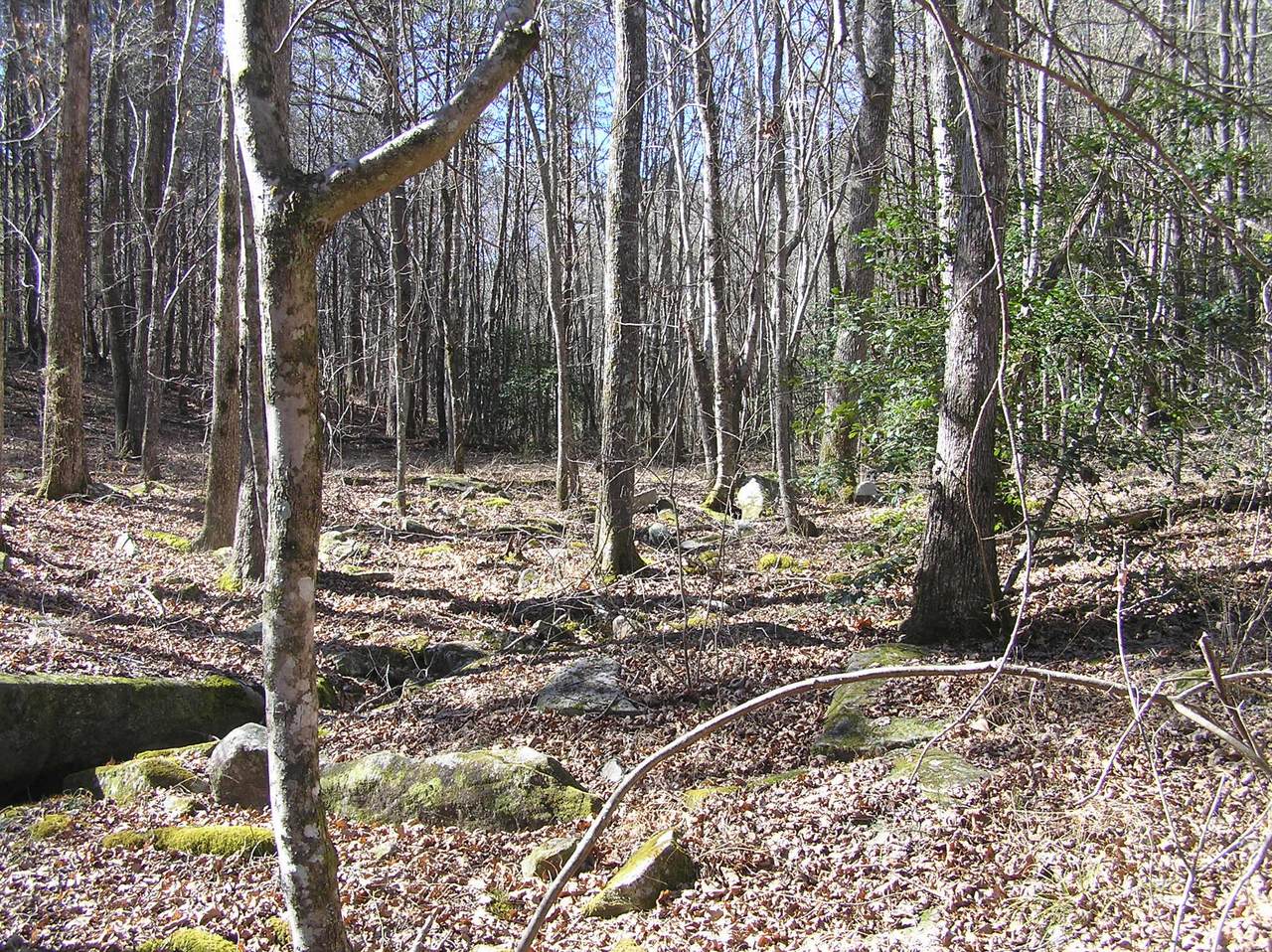 151c-60 Indian Trails Drive - Photo 1