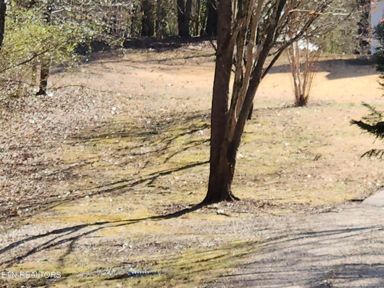 00 Crestway Drive - Photo 1