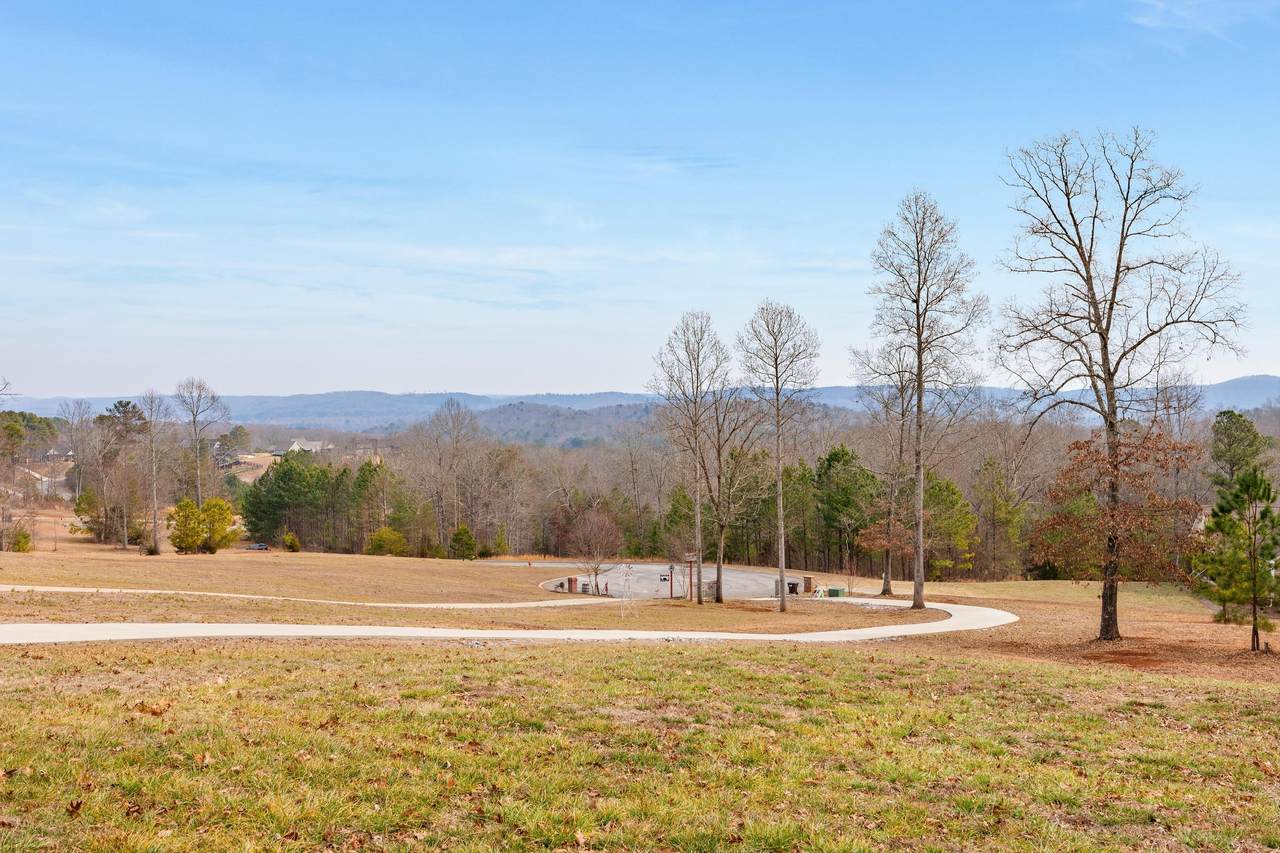 https://bt-photos.global.ssl.fastly.net/chattanooga/1280_boomver_1_1528541-2.jpg