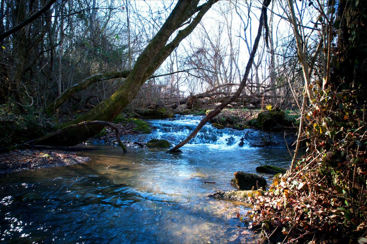 0 Rheatown Road - Photo 1