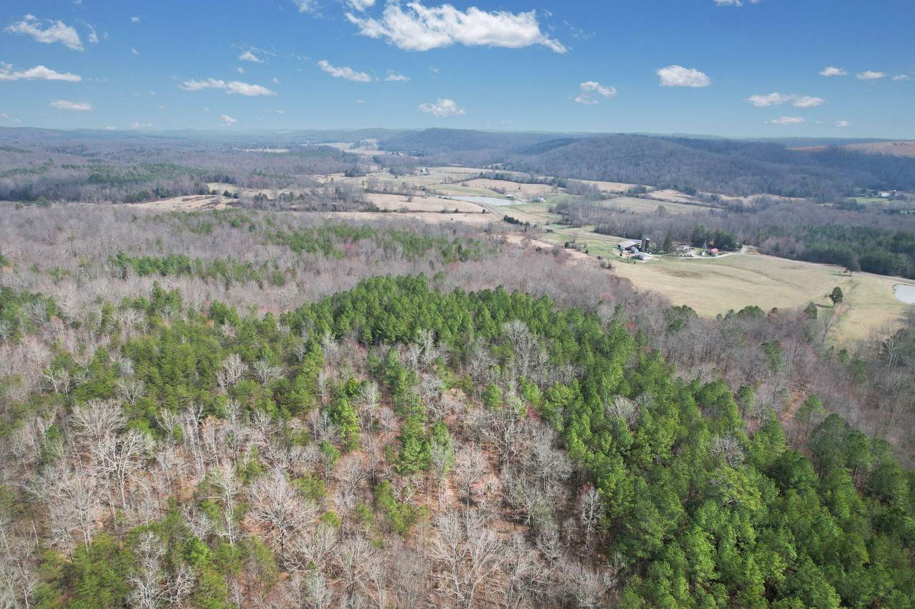 https://bt-photos.global.ssl.fastly.net/chattanooga/1280_boomver_1_1529710-2.jpg