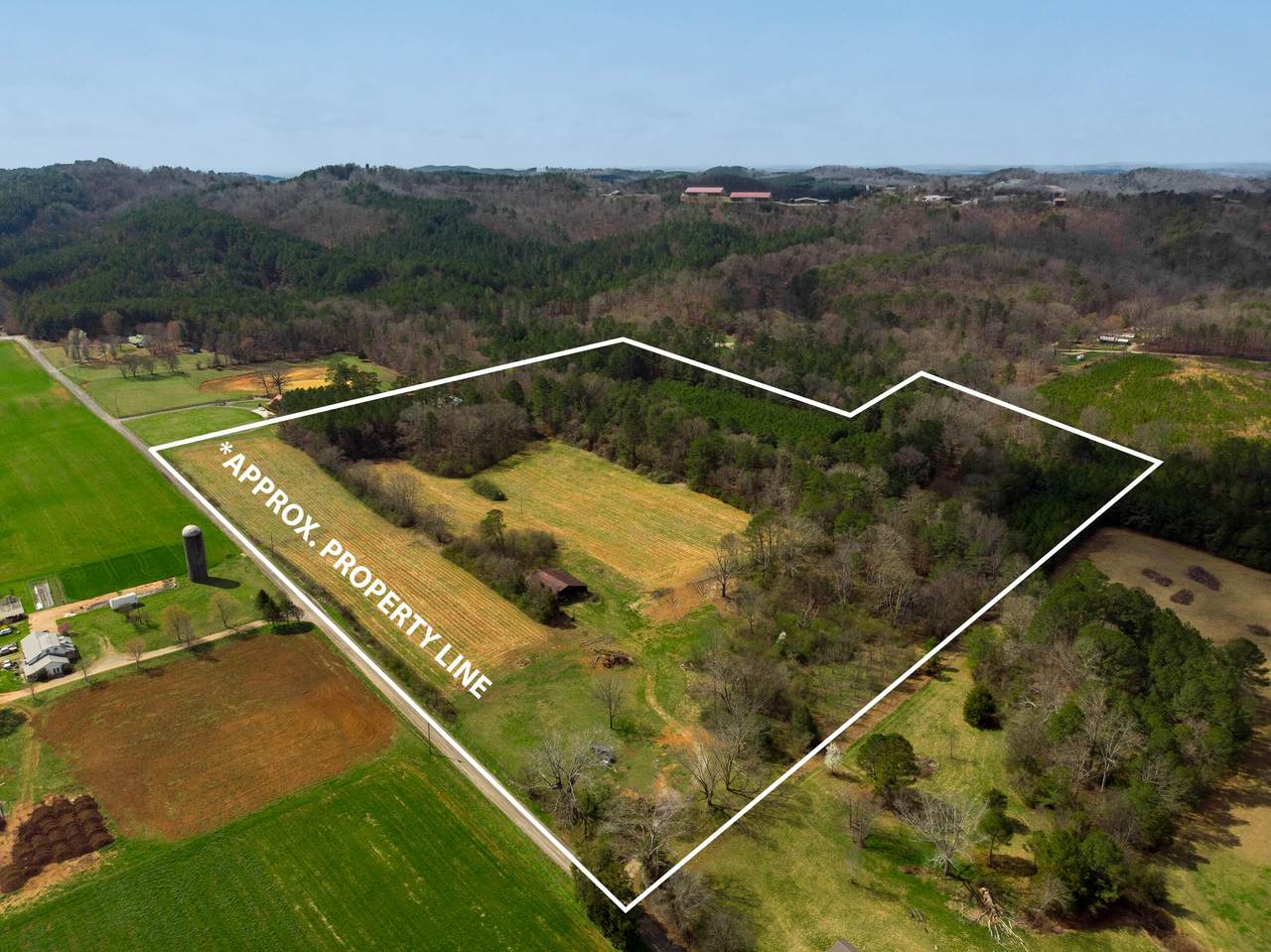 1321 Sand Mountain Road - Photo 1