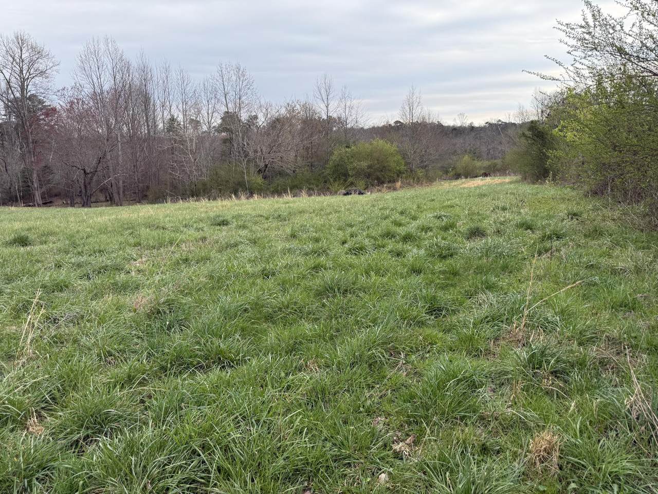 https://bt-photos.global.ssl.fastly.net/chattanooga/1280_boomver_1_1530631-2.jpg