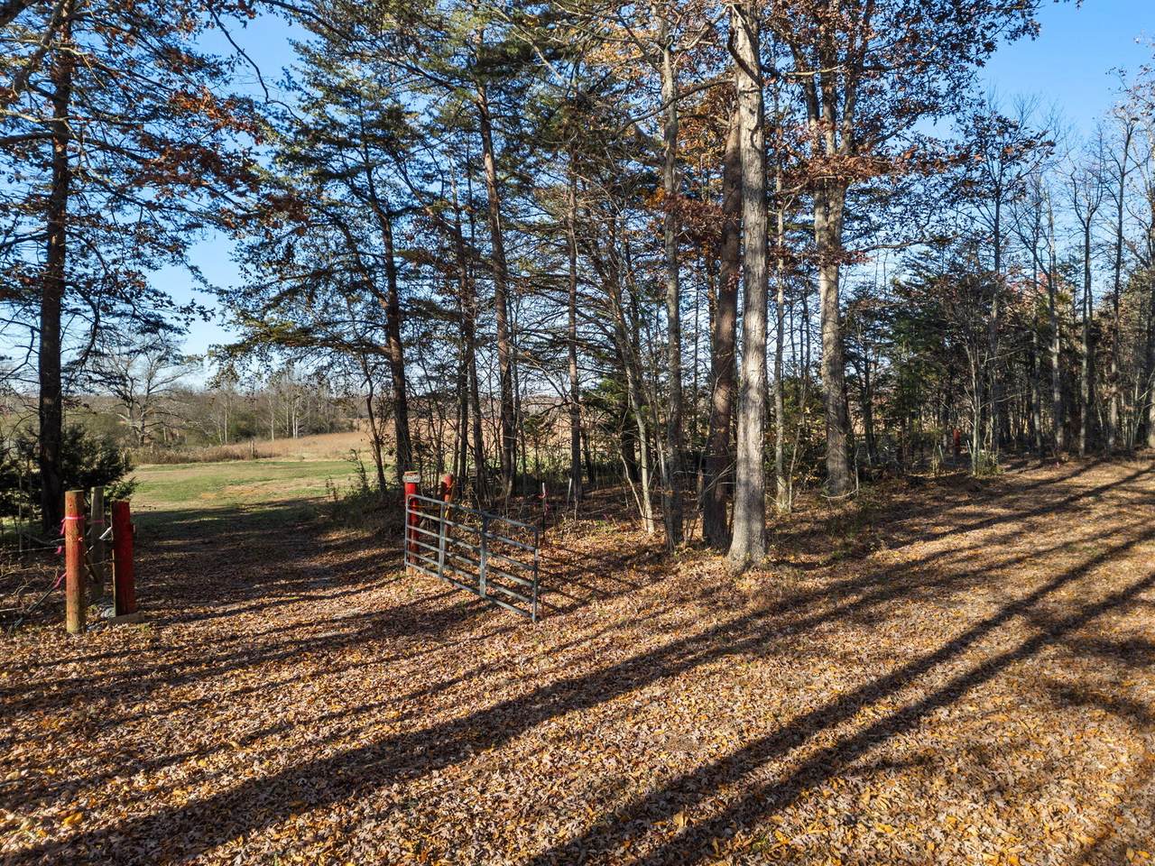 0 Ray Gadd Road - Photo 1