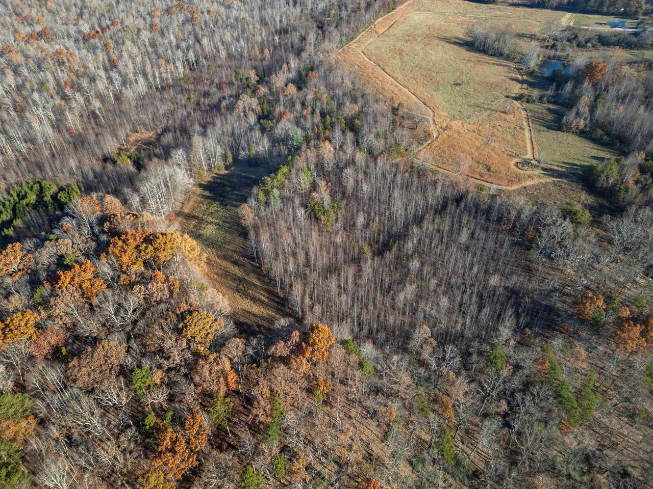 https://bt-photos.global.ssl.fastly.net/chattanooga/1280_boomver_1_1530720-2.jpg
