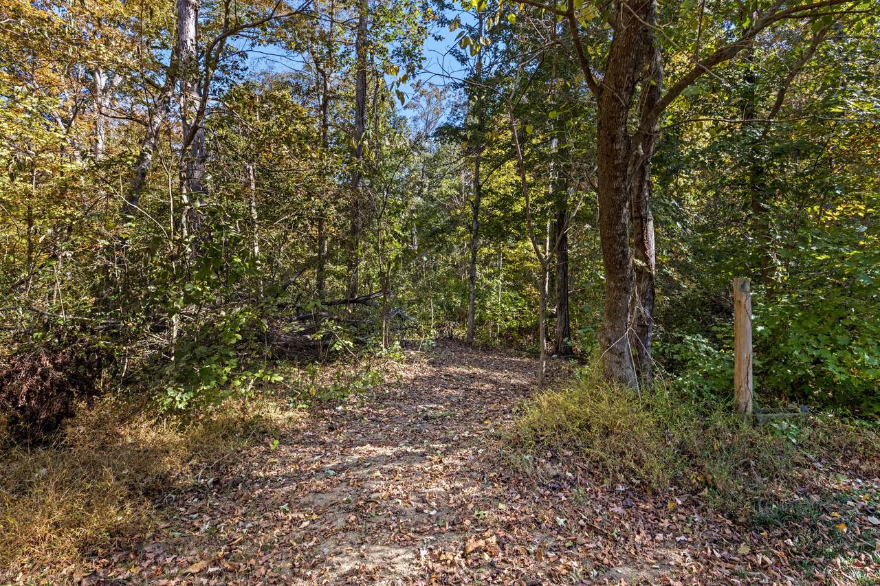 https://bt-photos.global.ssl.fastly.net/chattanooga/1280_boomver_1_1530781-2.jpg