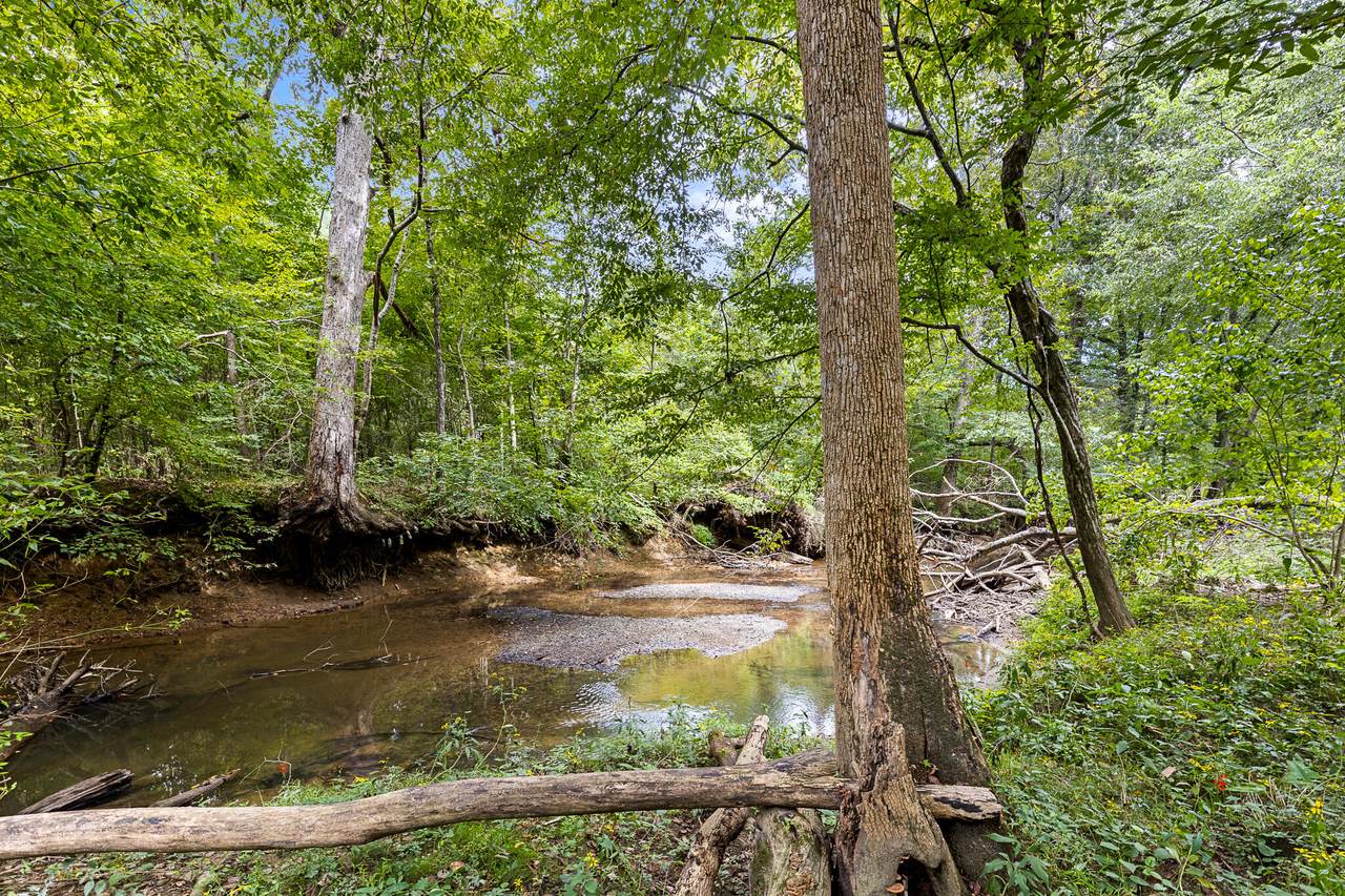 https://bt-photos.global.ssl.fastly.net/chattanooga/1280_boomver_1_1530781-2.jpg