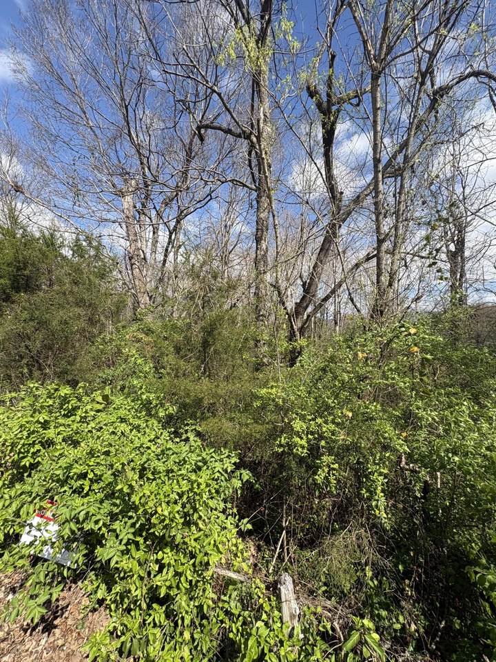 https://bt-photos.global.ssl.fastly.net/chattanooga/1280_boomver_1_1530818-2.jpg