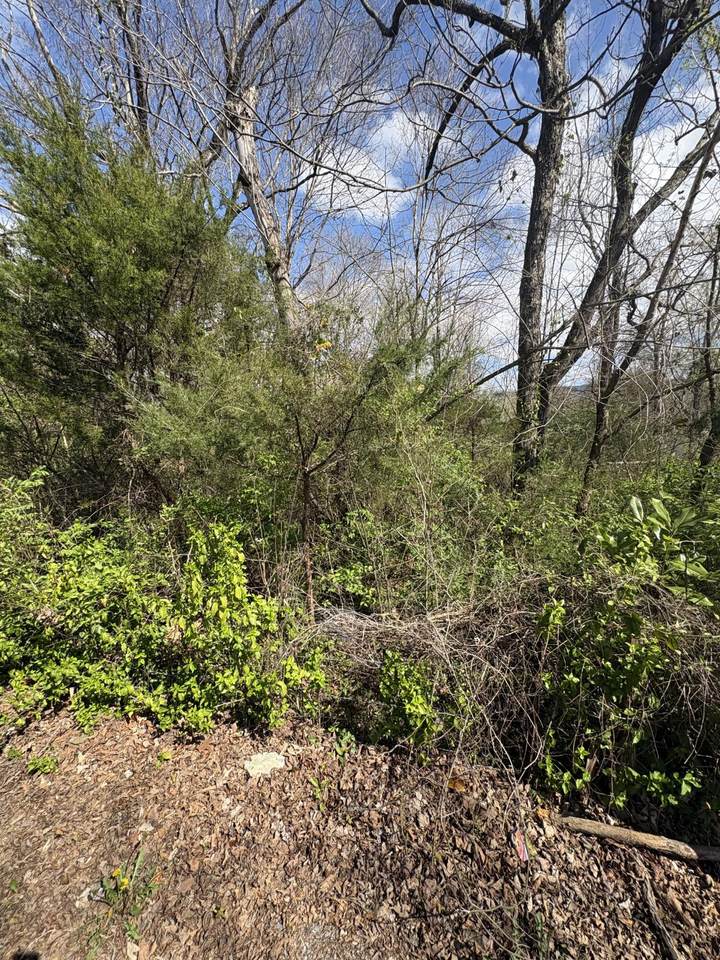 https://bt-photos.global.ssl.fastly.net/chattanooga/1280_boomver_1_1530818-2.jpg