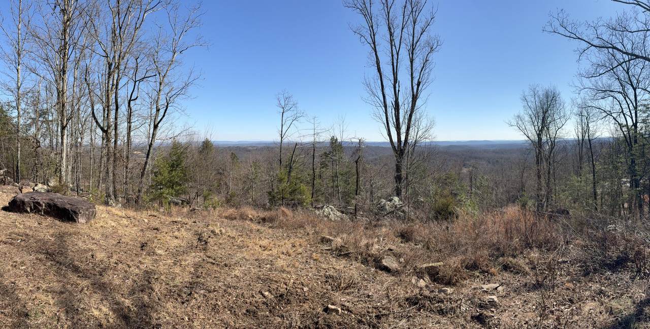 935 Bluff Ledge Trail - Photo 1