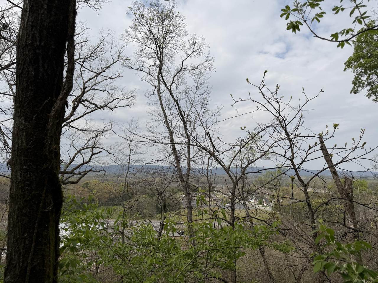 6587 Fairview Road - Photo 1