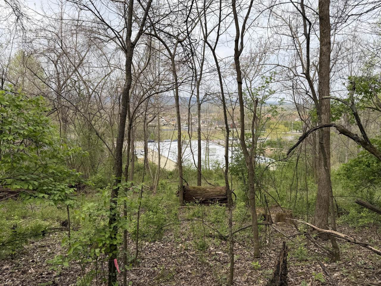 https://bt-photos.global.ssl.fastly.net/chattanooga/1280_boomver_1_1531120-2.jpg