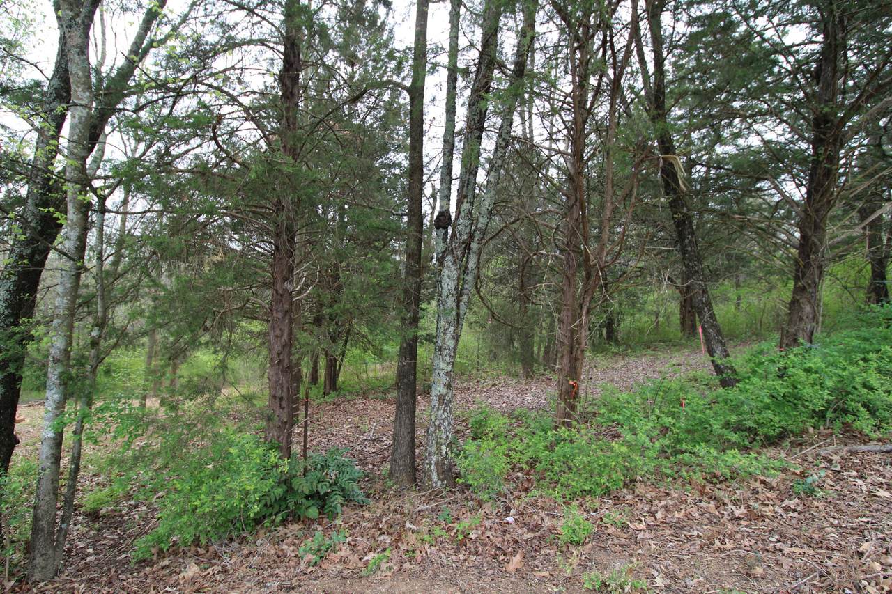 2550 Folkner Road - Photo 1