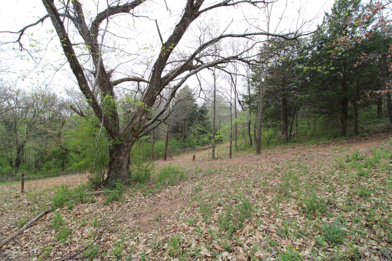 2558 Folkner Road - Photo 1
