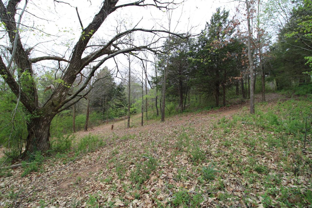 https://bt-photos.global.ssl.fastly.net/chattanooga/1280_boomver_1_1531498-2.jpg