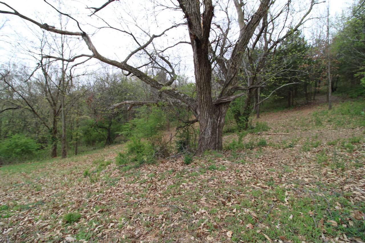 https://bt-photos.global.ssl.fastly.net/chattanooga/1280_boomver_1_1531499-2.jpg
