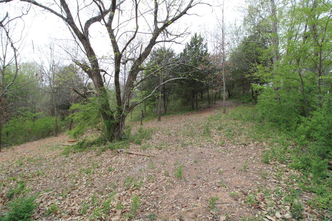 https://bt-photos.global.ssl.fastly.net/chattanooga/1280_boomver_1_1531499-2.jpg