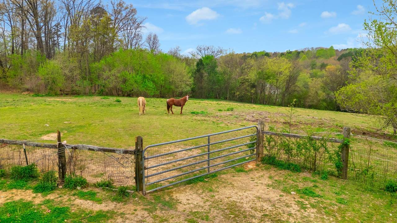 https://bt-photos.global.ssl.fastly.net/chattanooga/1280_boomver_1_1531608-2.jpg