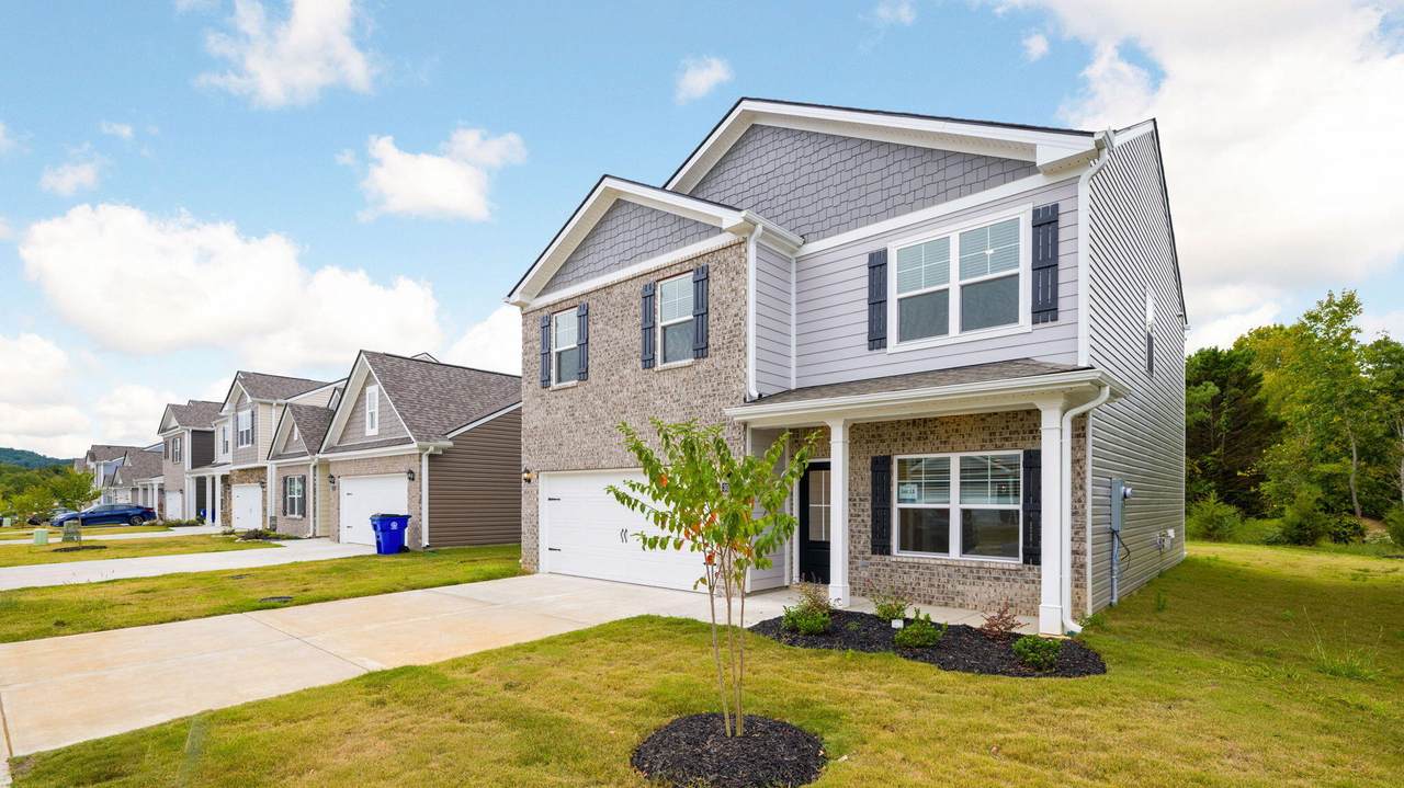 https://bt-photos.global.ssl.fastly.net/chattanooga/1280_boomver_1_1531952-2.jpg