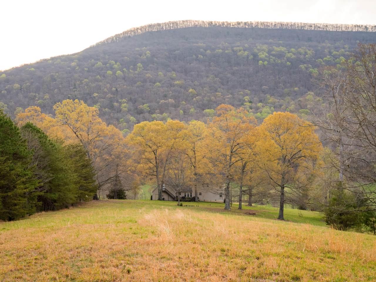 https://bt-photos.global.ssl.fastly.net/chattanooga/1280_boomver_1_1533005-2.jpg