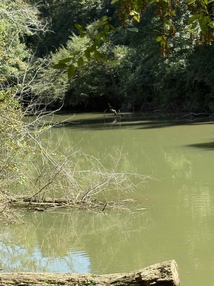 https://bt-photos.global.ssl.fastly.net/chattanooga/1280_boomver_1_1534083-2.jpg