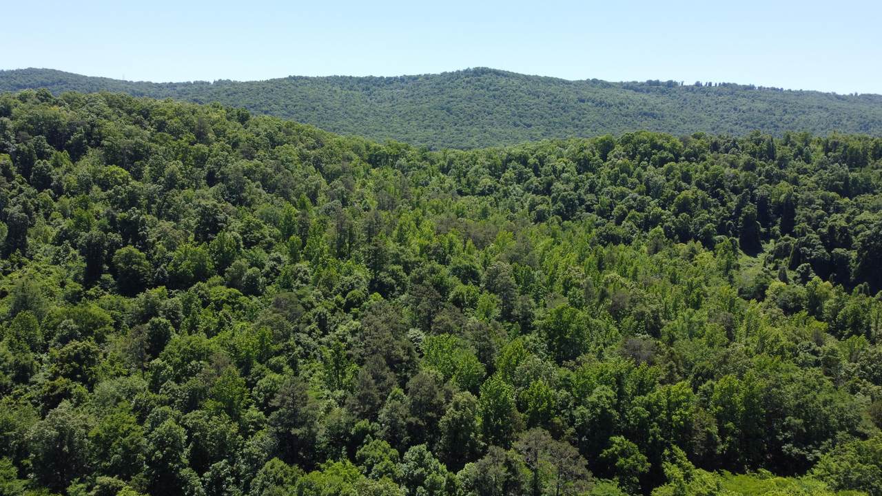 https://bt-photos.global.ssl.fastly.net/chattanooga/1280_boomver_1_1534741-2.jpg