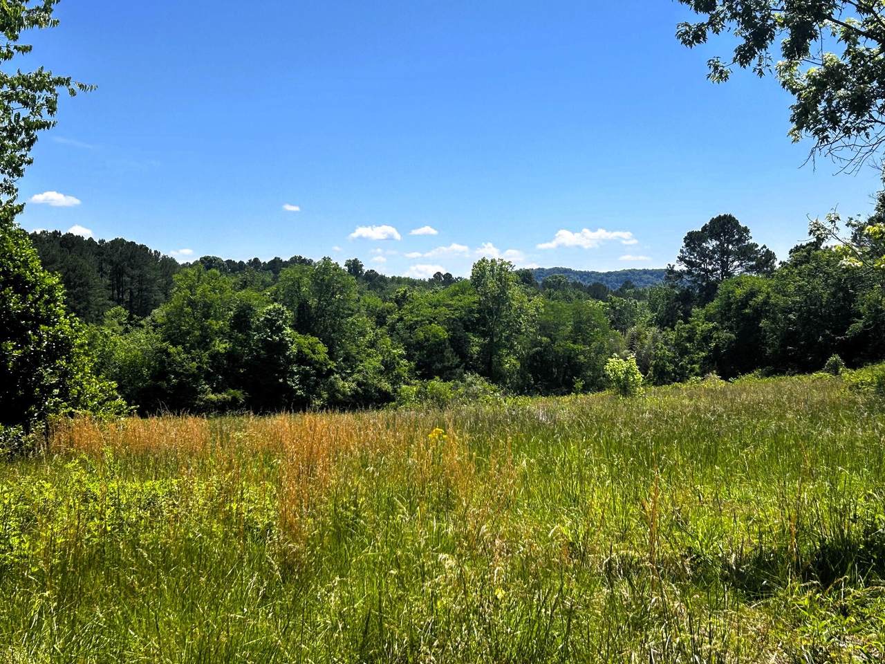 https://bt-photos.global.ssl.fastly.net/chattanooga/1280_boomver_1_1534913-2.jpg