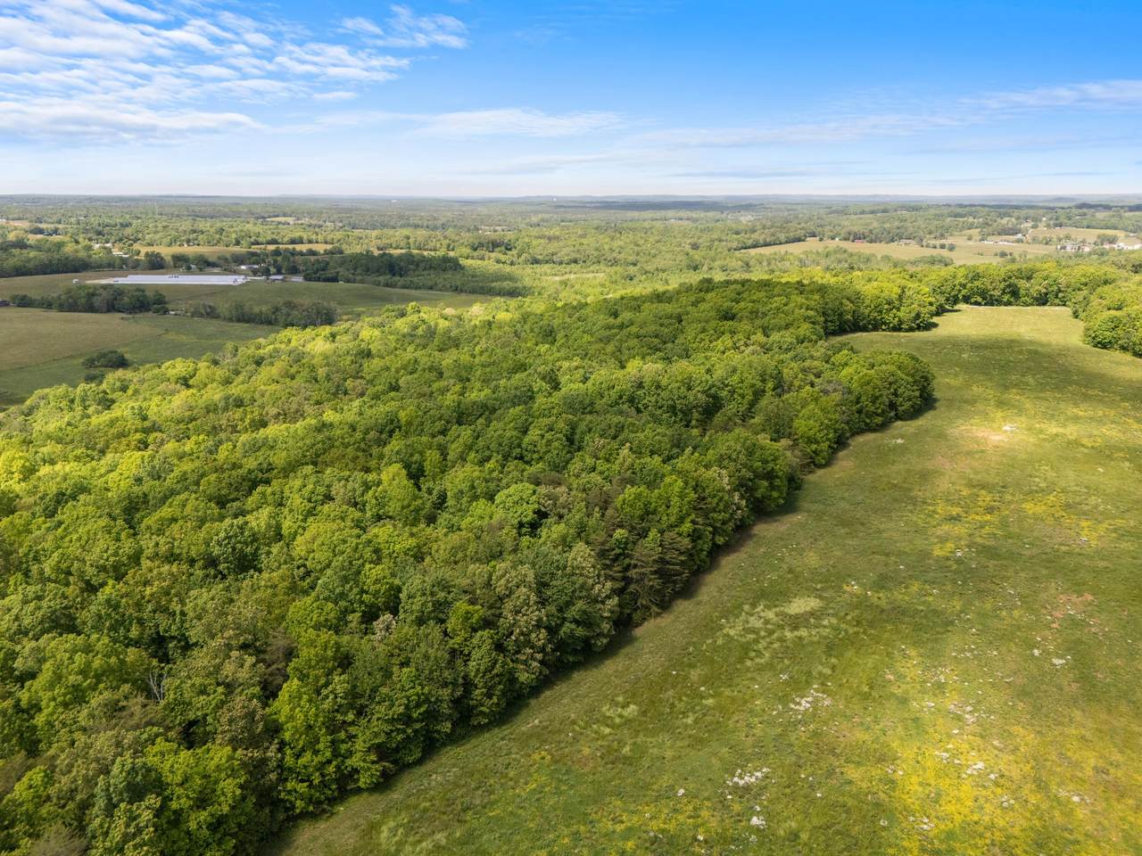 10681 Griffith Road - Photo 1