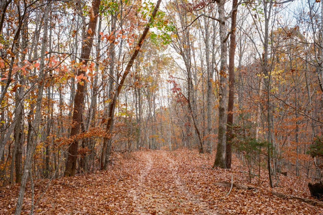 https://bt-photos.global.ssl.fastly.net/chattanooga/1280_boomver_1_1535912-2.jpg