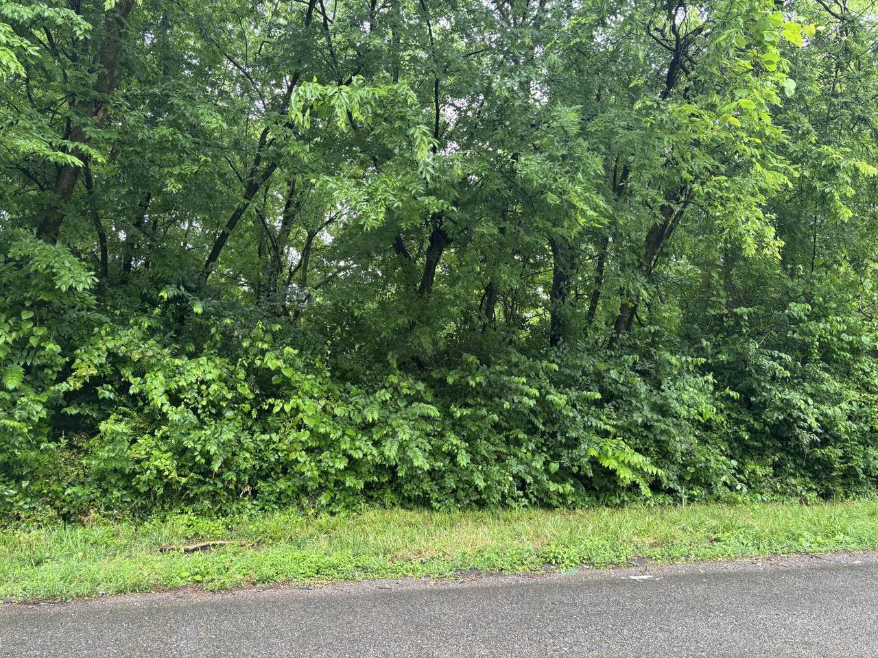 891 Gaut Street - Photo 1
