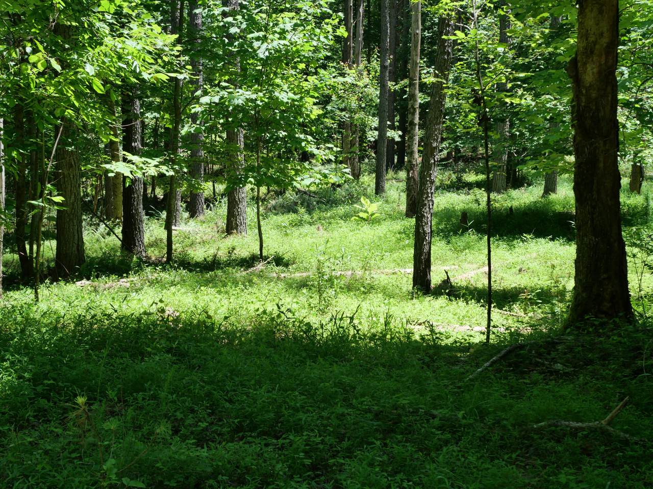 3256 Summer City - Photo 1
