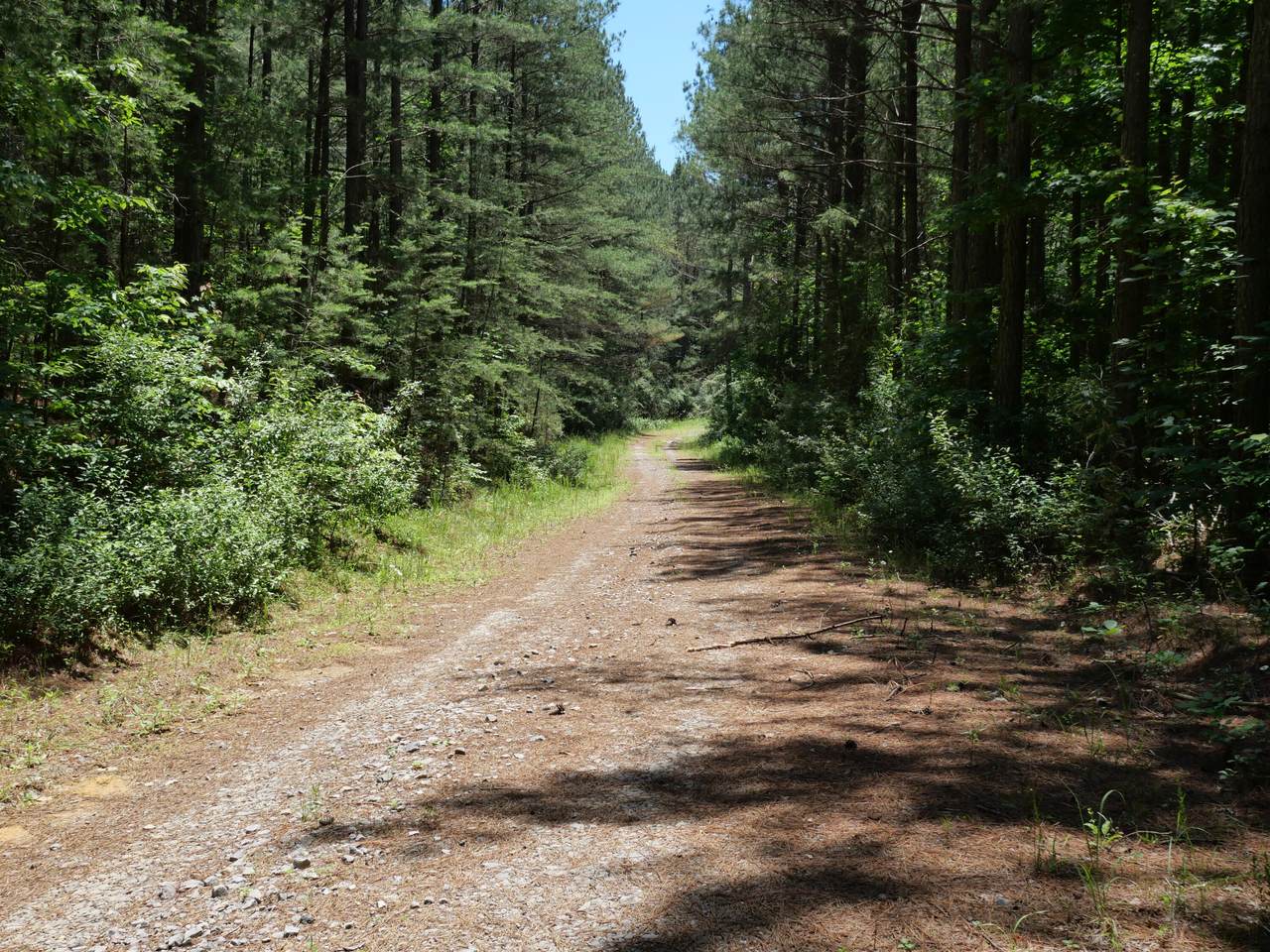 https://bt-photos.global.ssl.fastly.net/chattanooga/1280_boomver_1_1536472-2.jpg