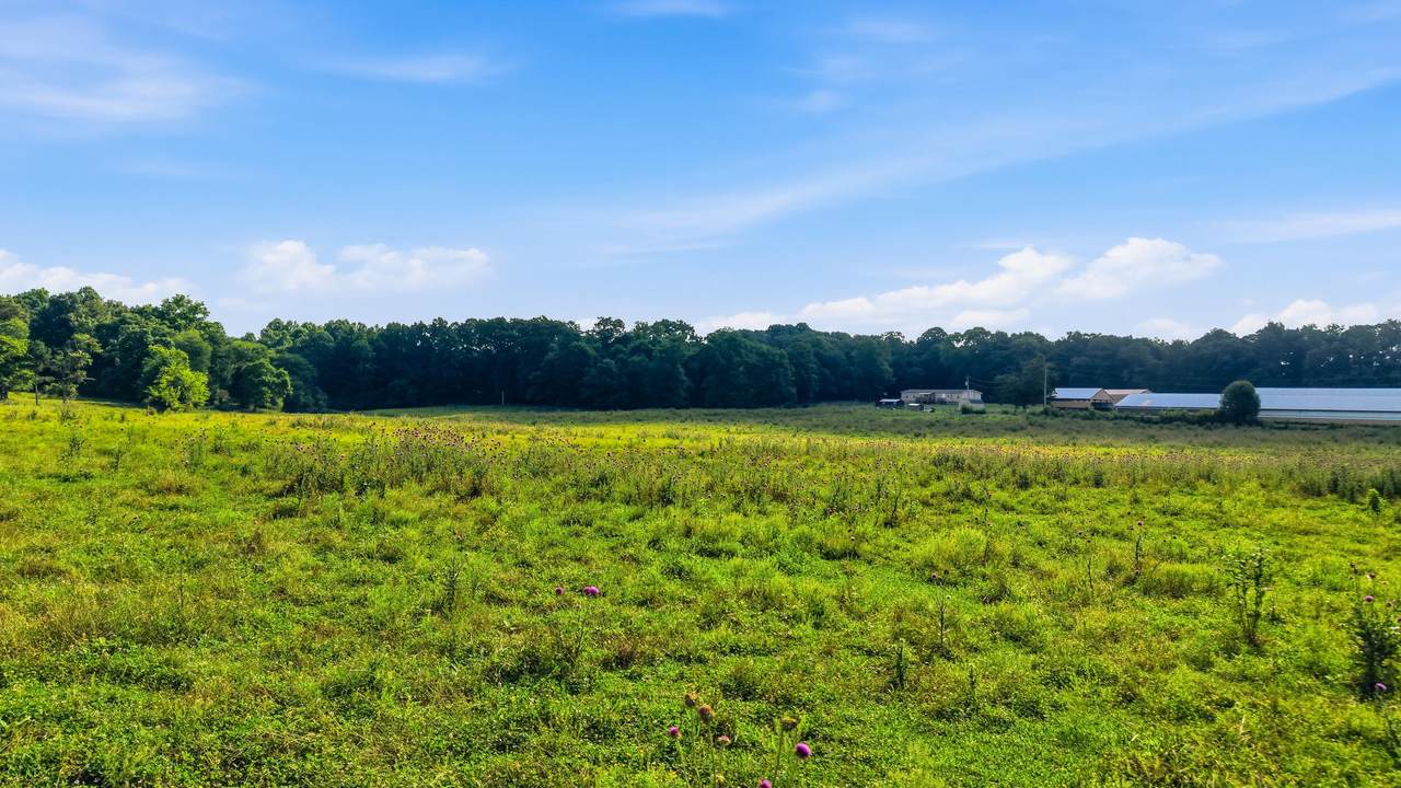 6373 Bates Pike - Photo 1