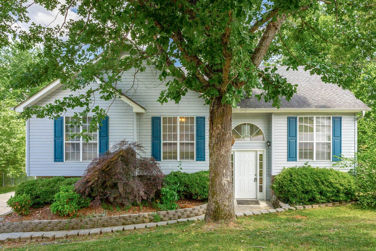 6130 Blue Ash Drive - Photo 1