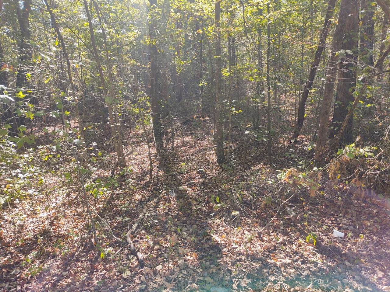 https://bt-photos.global.ssl.fastly.net/chattanooga/1280_boomver_1_1538224-2.jpg