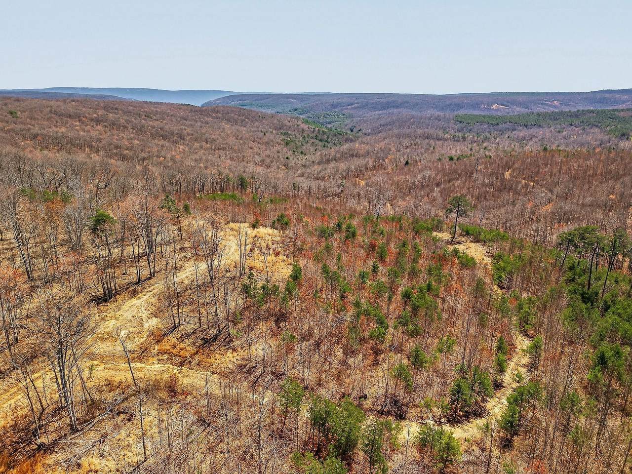 253 Highway 27 Daus Mountain Road - Photo 1