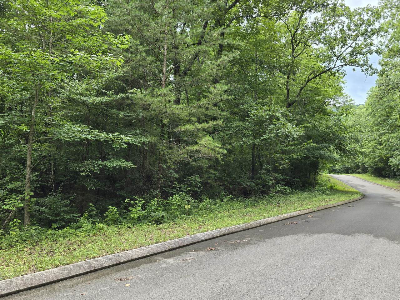 Lot 135 Lower Brow Road - Photo 1