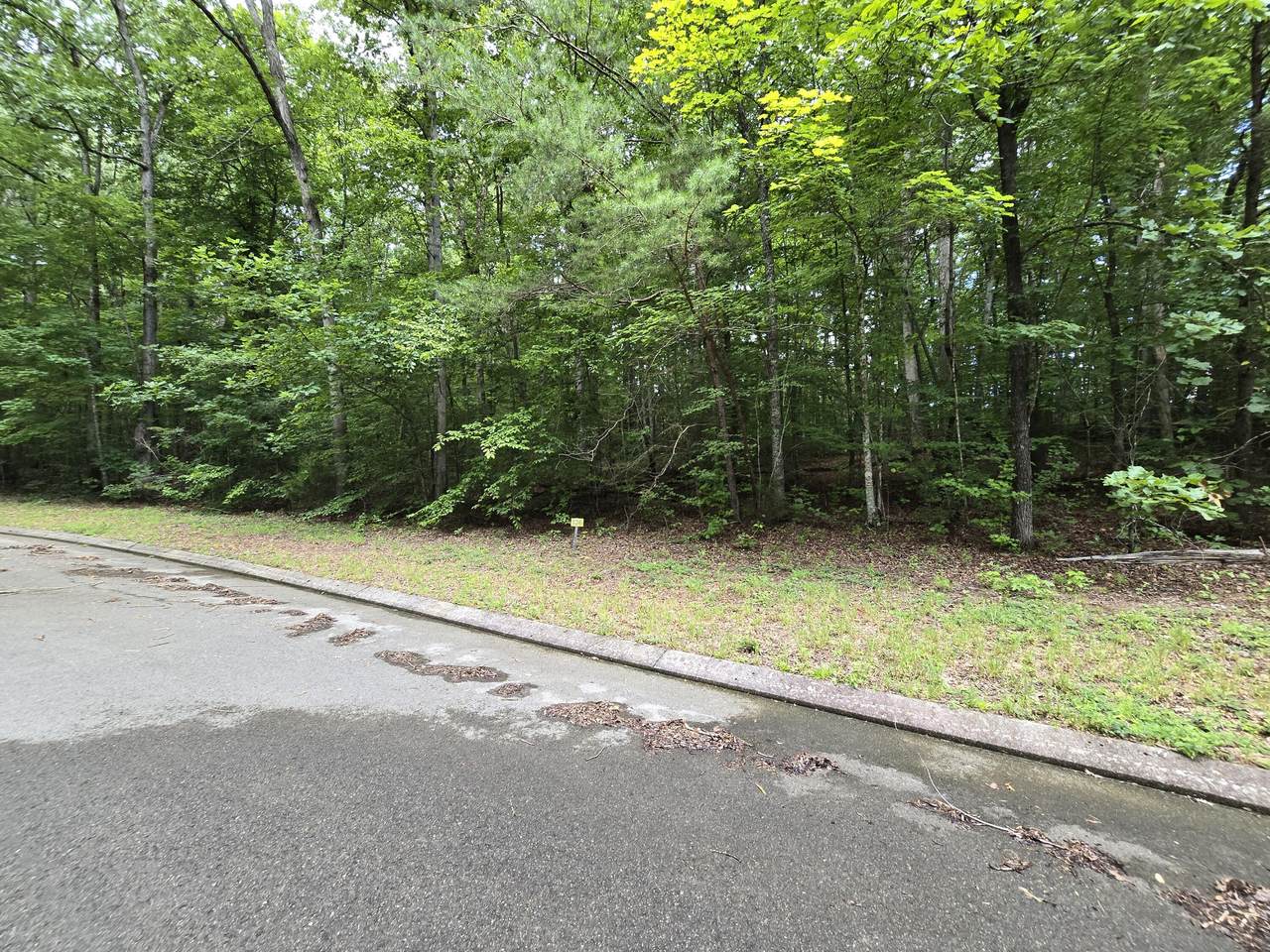 Lot 136 Lower Brow Road - Photo 1