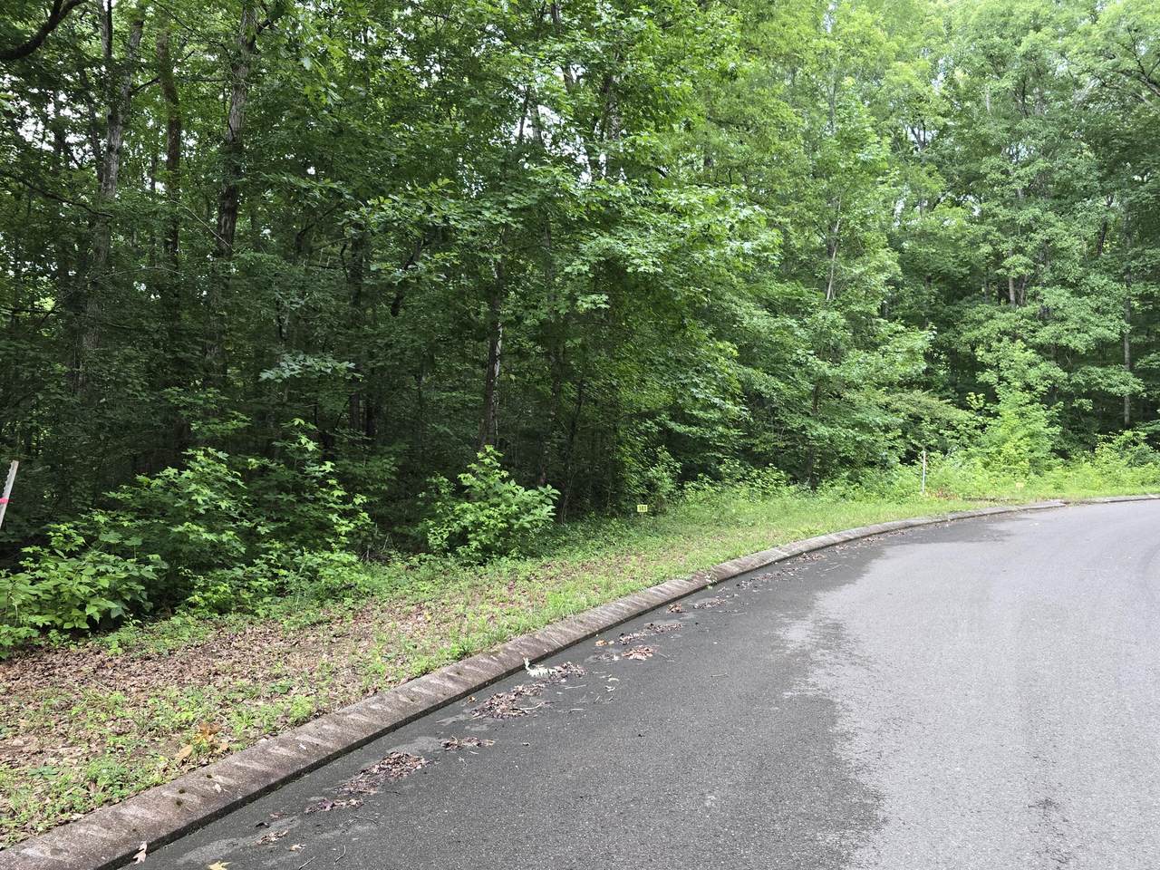 Lot 141 Lower Brow Road - Photo 1