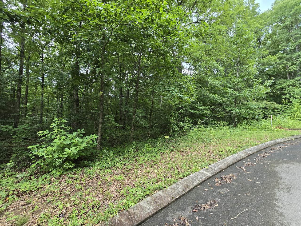 https://bt-photos.global.ssl.fastly.net/chattanooga/1280_boomver_1_1538978-2.jpg