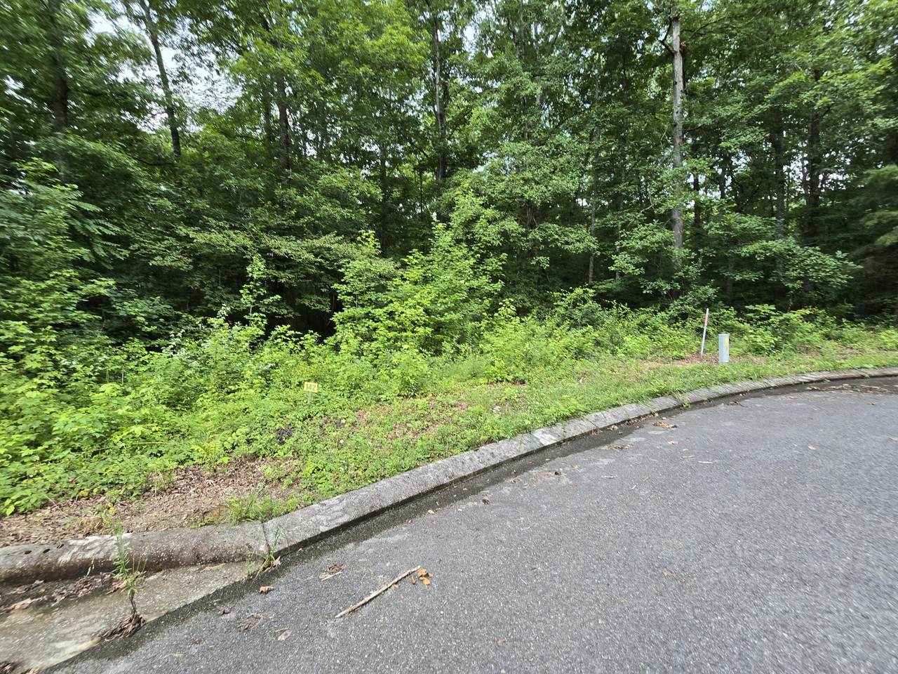 Lot 142 Lower Brow Road - Photo 1